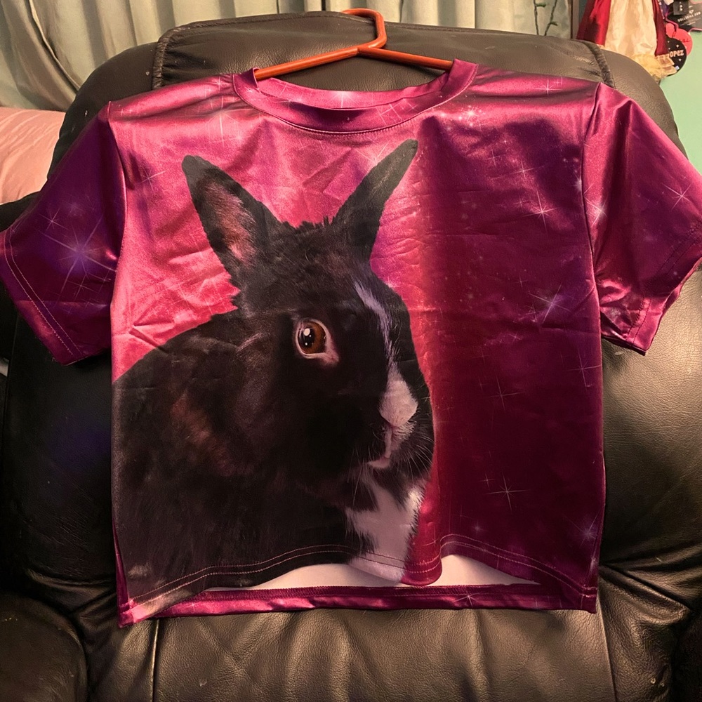 Dollskill bunny crop top